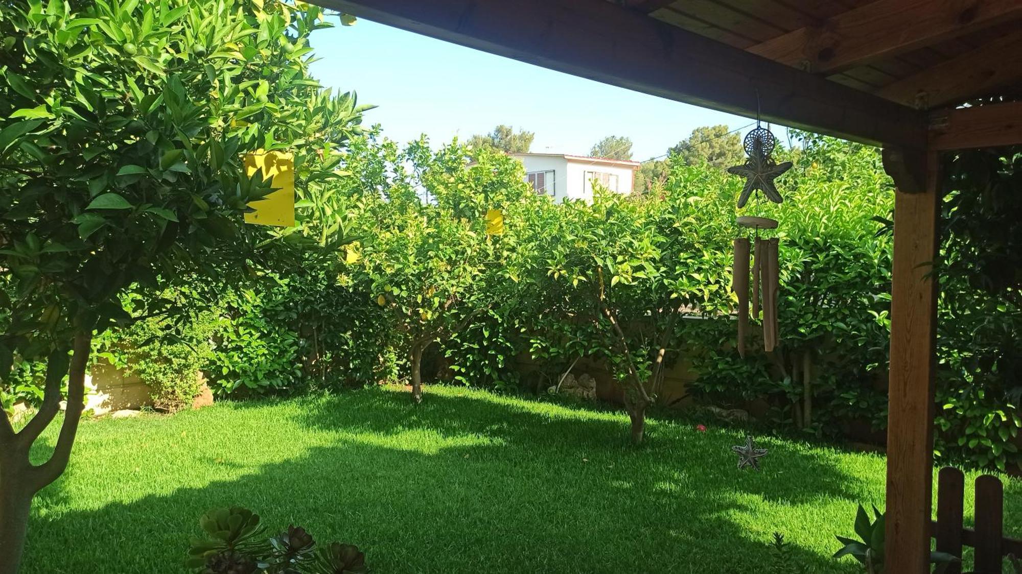 Sea Soul Villa Artemida  Exterior photo